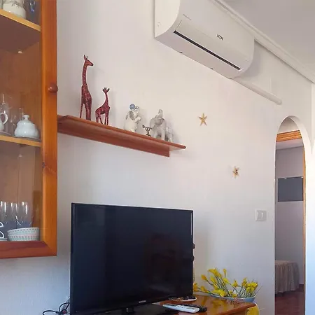 Apartment Stunning In *